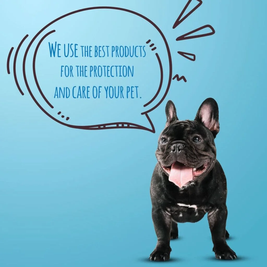 happy dog bulldog french-background blue-banner pet safe cleaning products in your home-blog in orange park florida